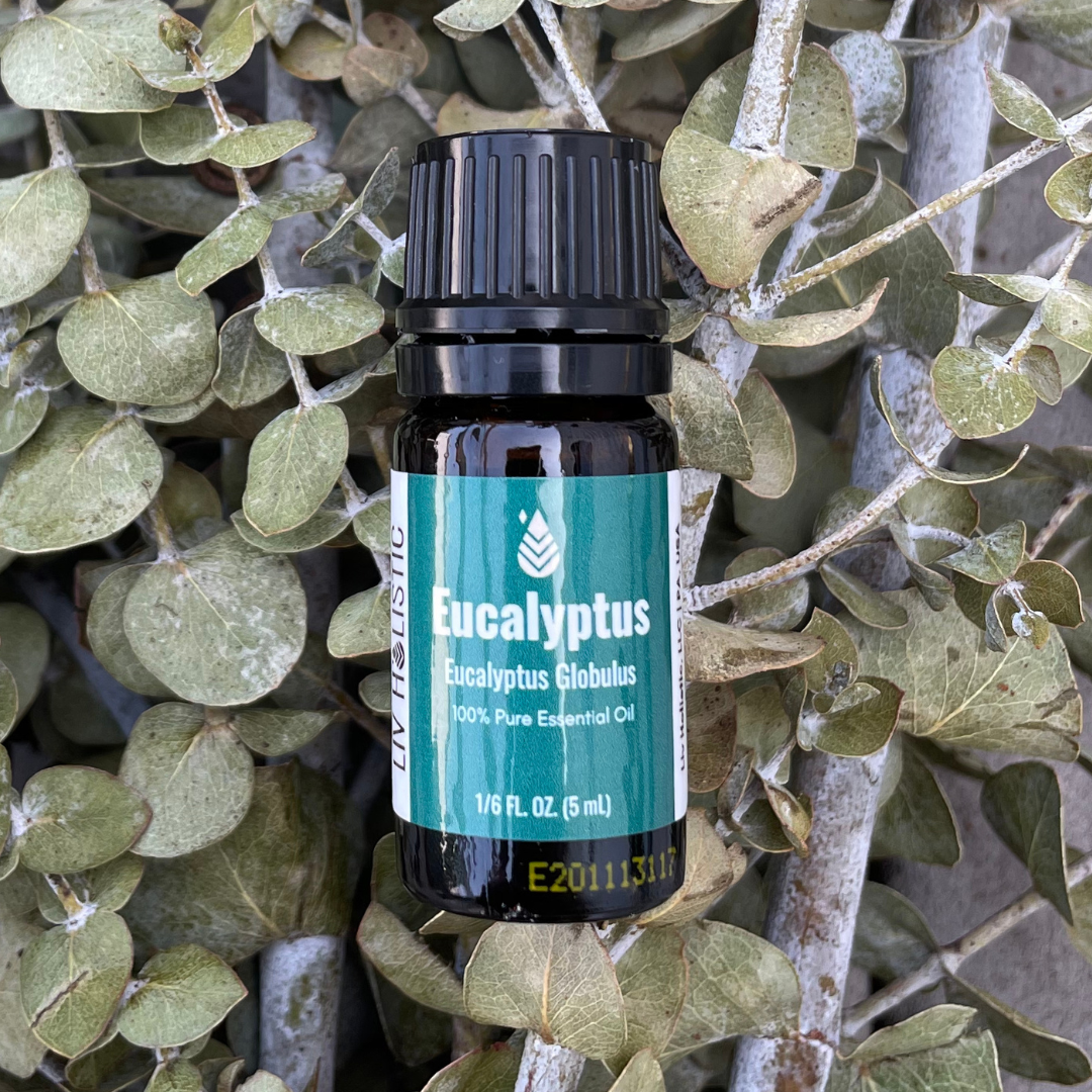 Eucalyptus Oil