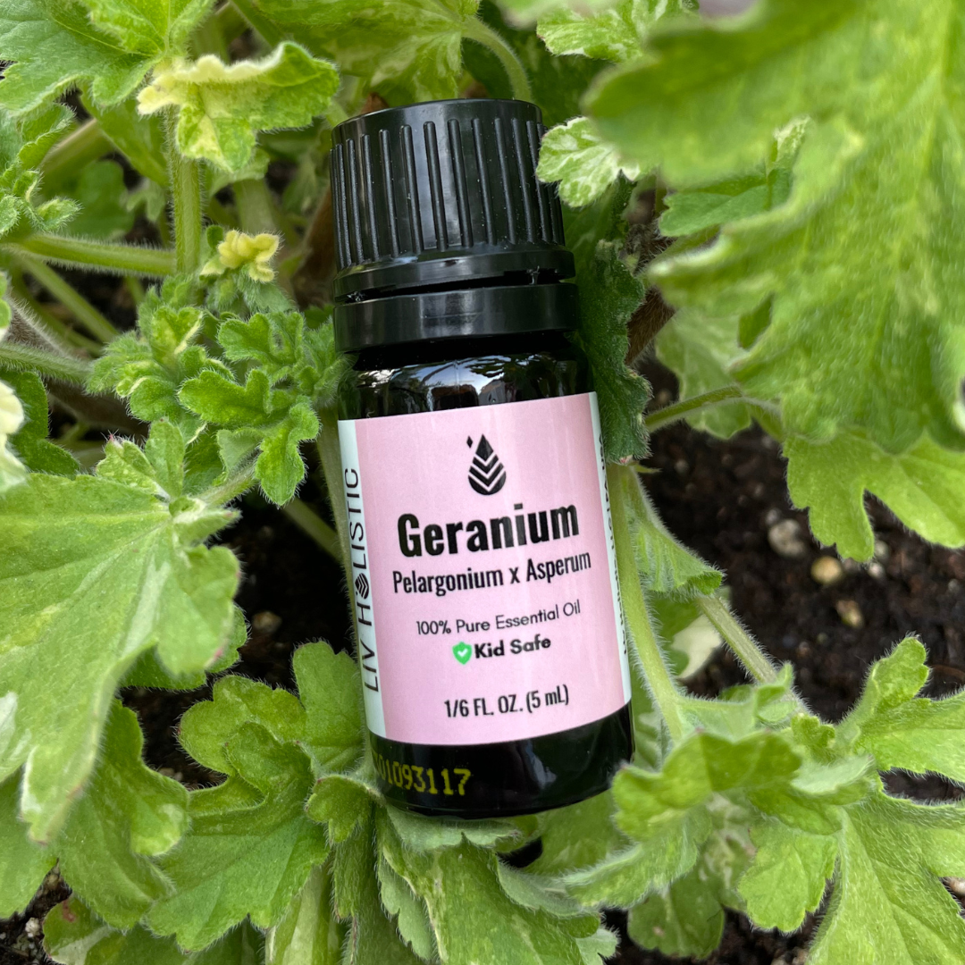 Geranium Oil