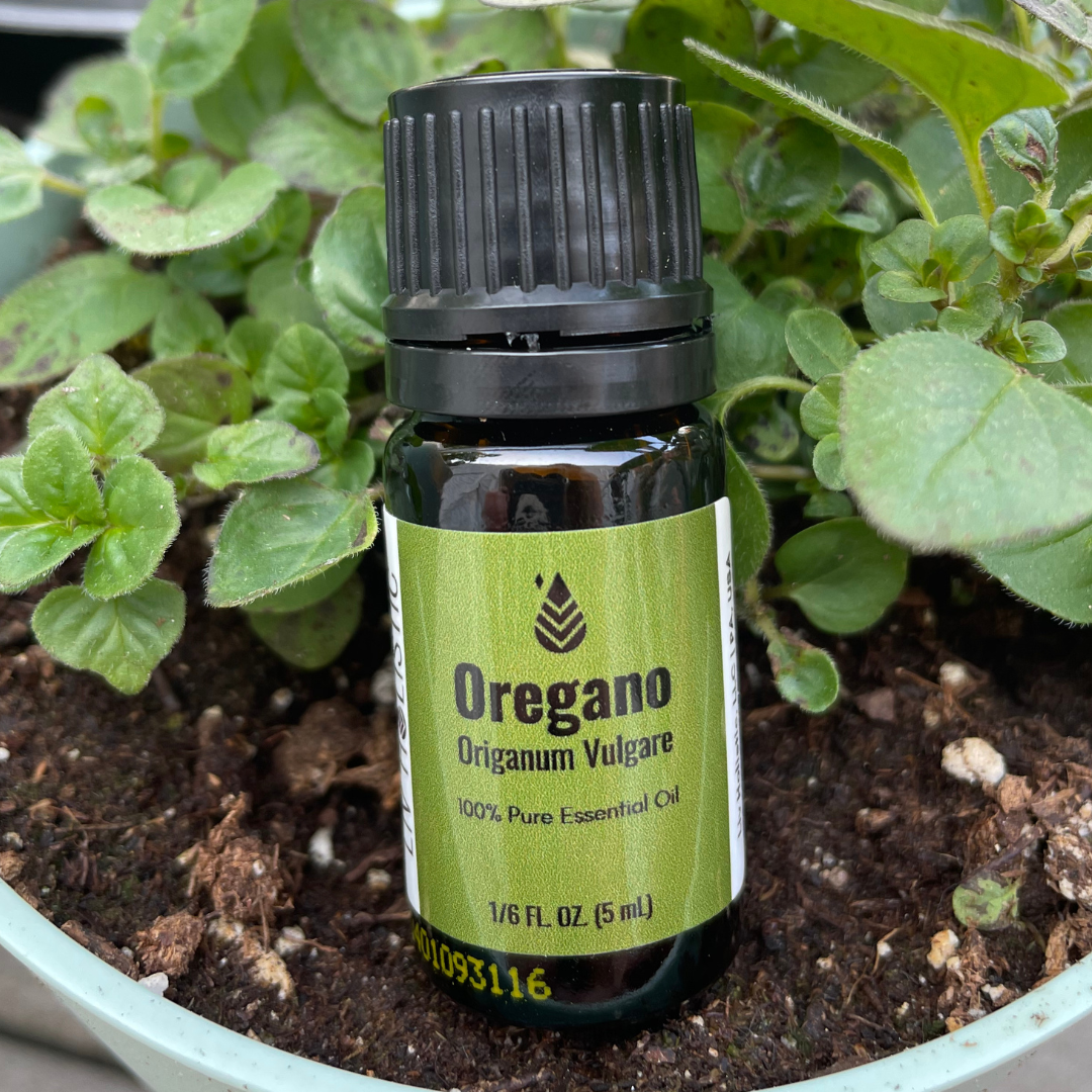 Oregano Oil