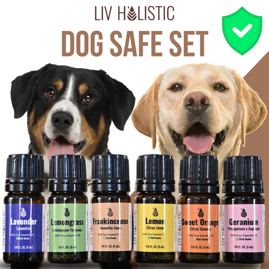 Dog Safe Essential Oil Set